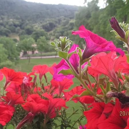 ホテル Montebaldina サン・ゼーノ・ディ・モンターニャ