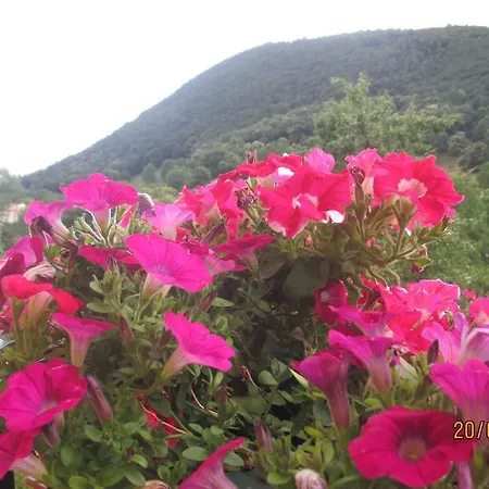 ホテル Montebaldina サン・ゼーノ・ディ・モンターニャ