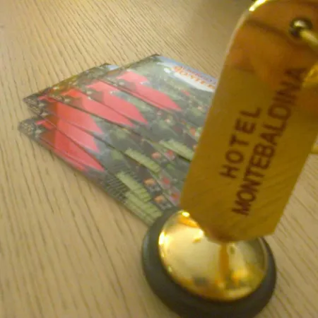 호텔 Montebaldina 3*
