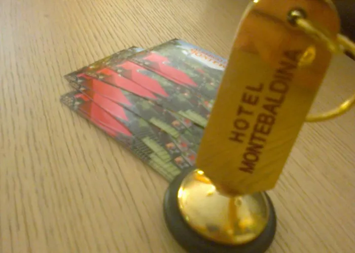 Hotel Montebaldina 3*