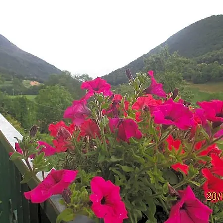 Montebaldina
