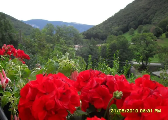 Montebaldina