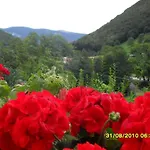 Montebaldina